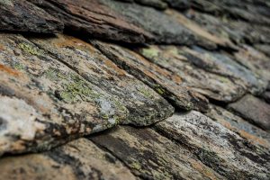 roof-with-moss-that-can-be-cleaned-by-blabladrones